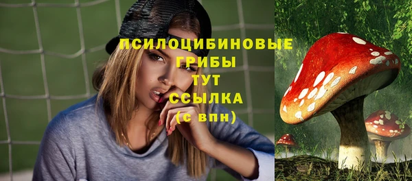 герыч Алексин
